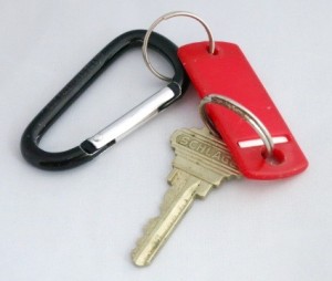 Carabiner with keys